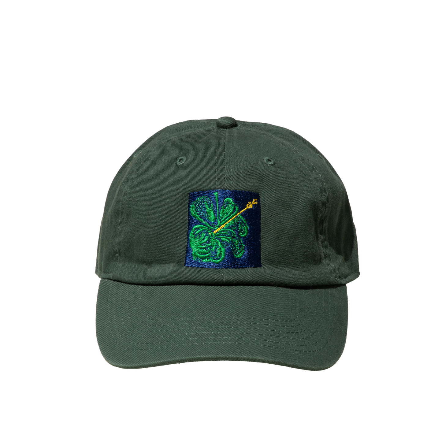SHFG, Alvaro Barrington x Arizona Vintage Hat