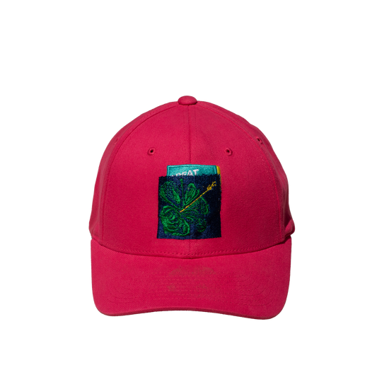 SHFG, ALVARO BARRINGTON X ARIZONA VINTAGE HAT