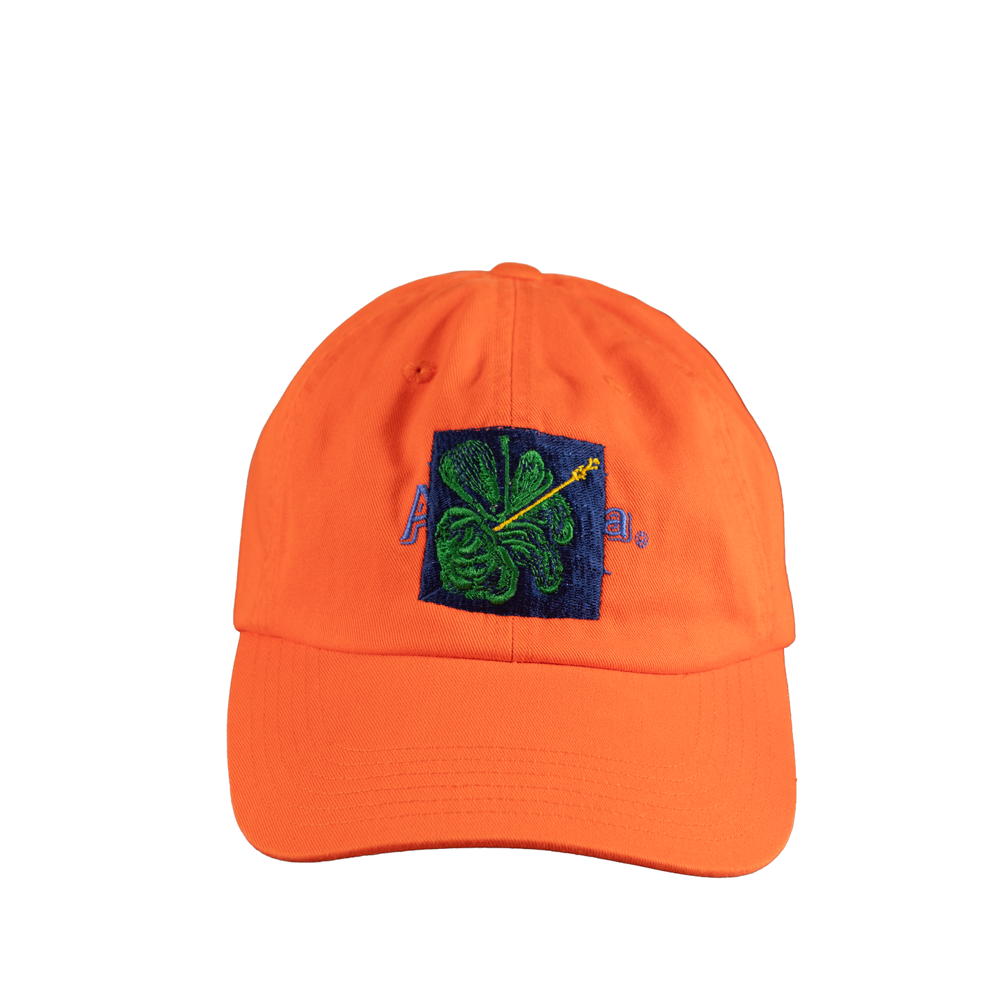 SHFG, Alvaro Barrington x Arizona Vintage Hat