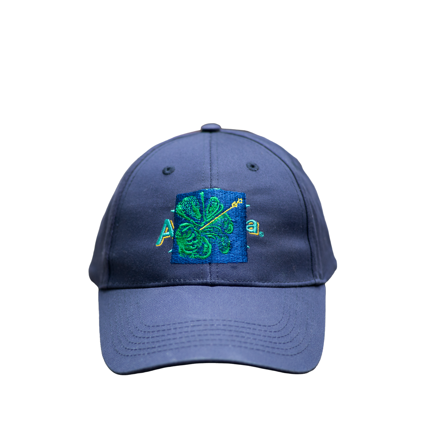 SHFG, Alvaro Barrington x Arizona Vintage Hat