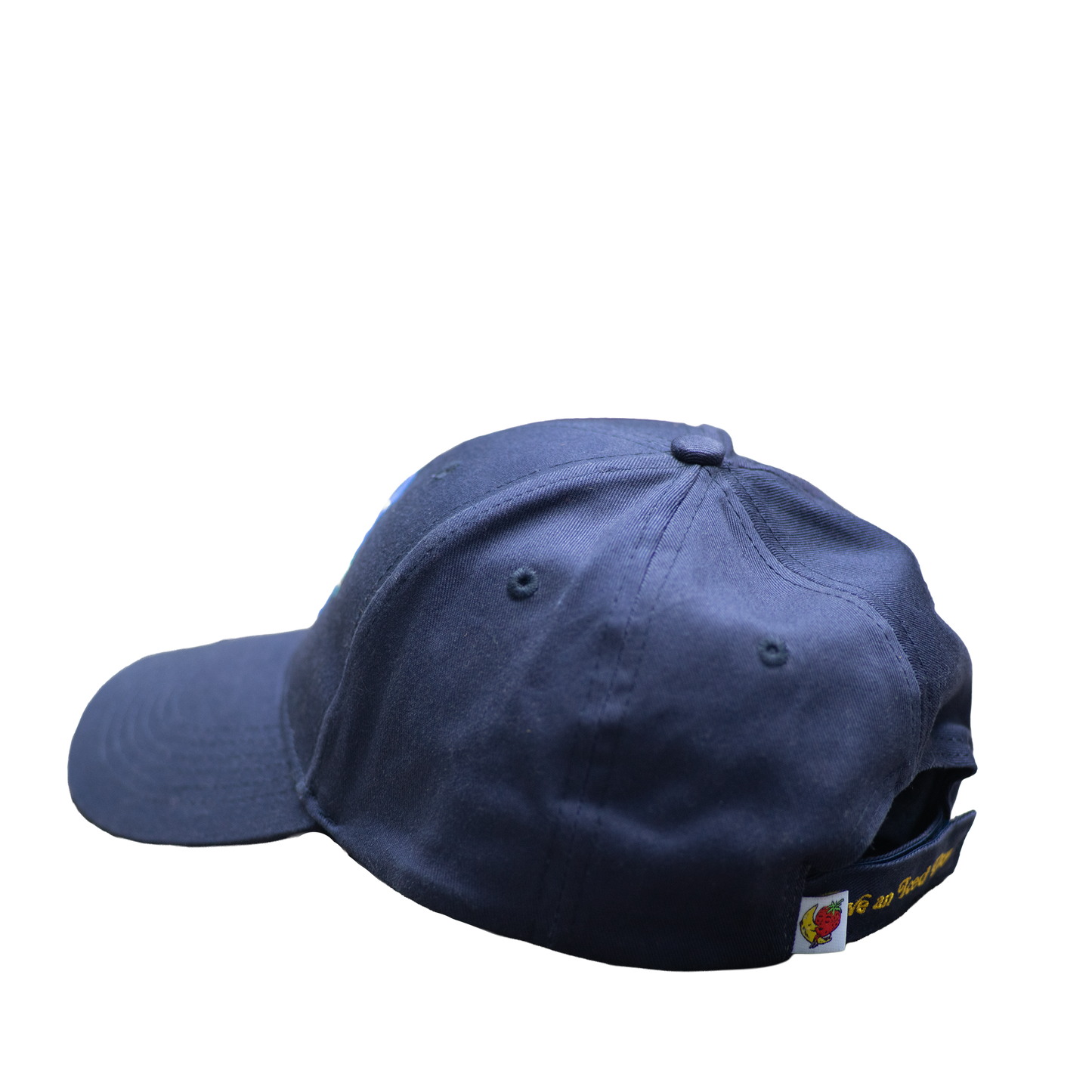 SHFG, Alvaro Barrington x Arizona Vintage Hat