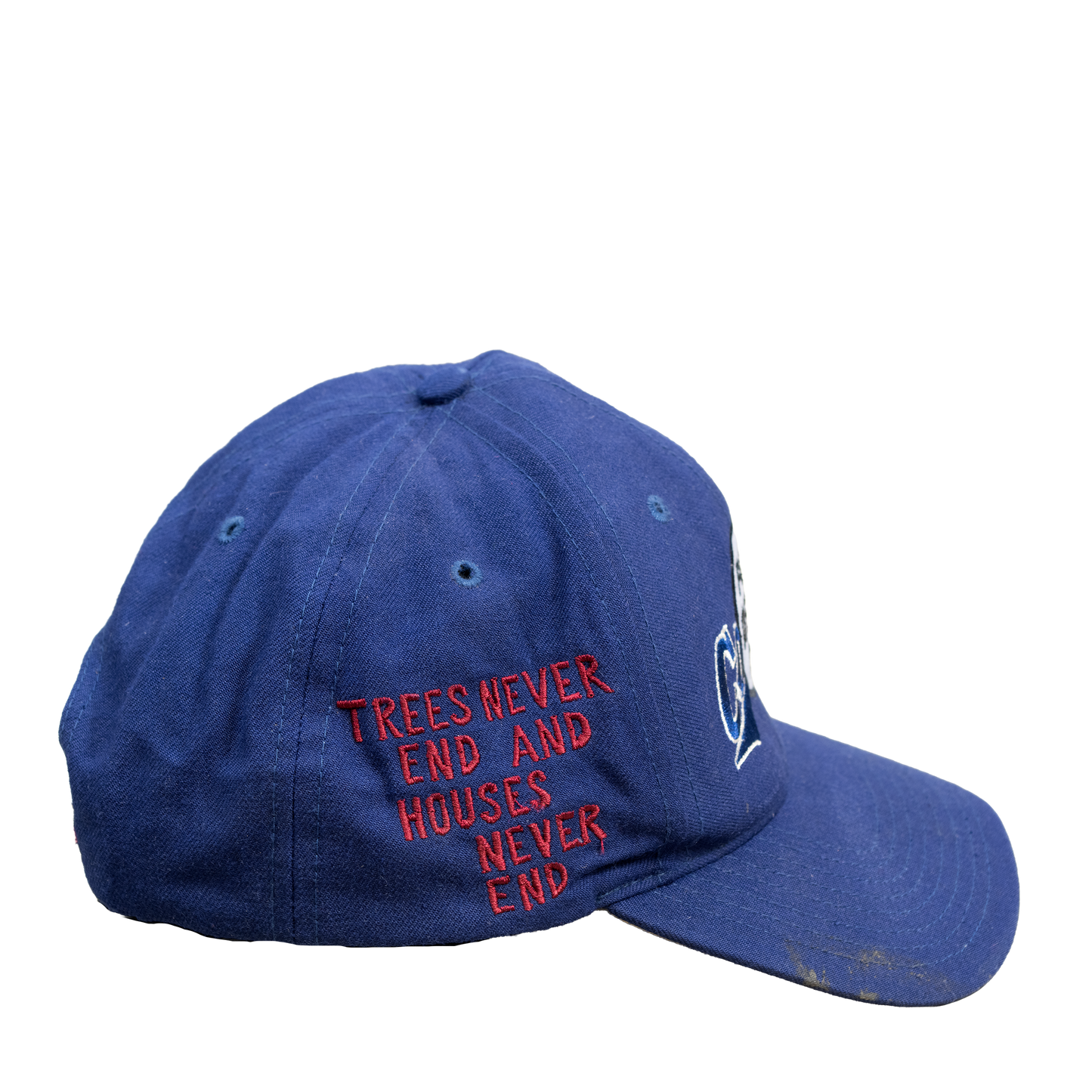 SHFG TREES NEVER END AND HOUSES NEVER END HAT - ONLINE EXCLUSIVE