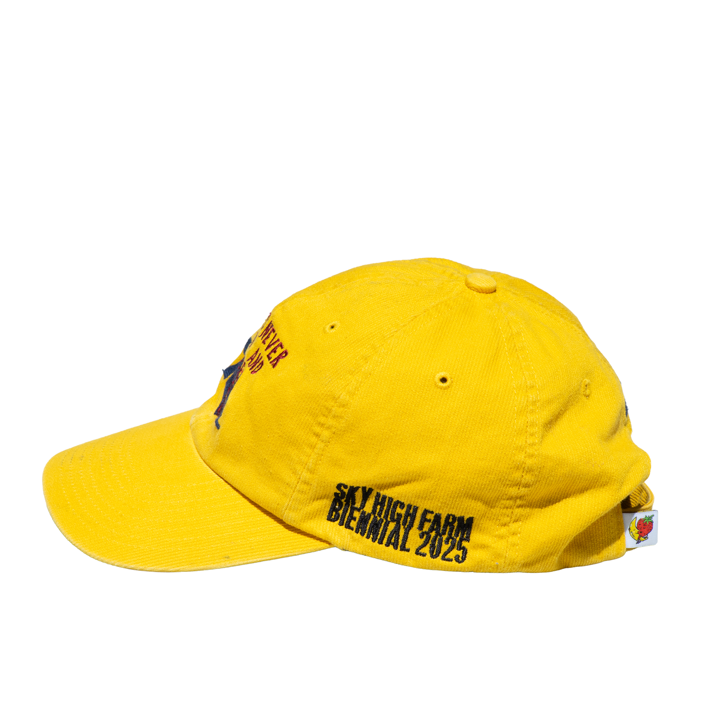 SHFG TREES NEVER END AND HOUSES NEVER END HAT