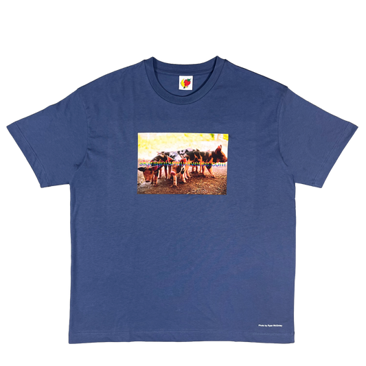 PIGS FARM TEE SHIRT