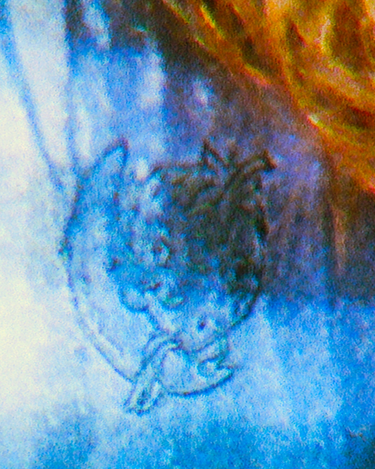 Split Tartan Button Down Shirt